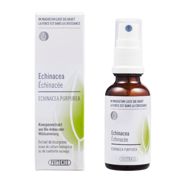 Extrait de bourgeons Échinacée